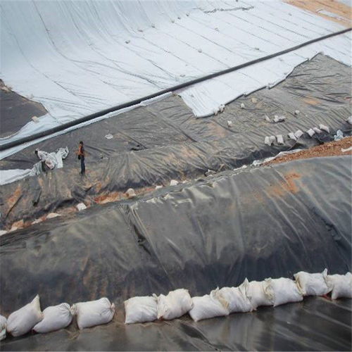 濮陽土工膜及針刺地毯服務介紹